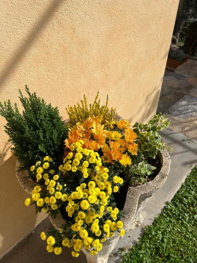 Agriturismo Le Merline Arnasco Zewnętrze zdjęcie